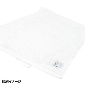 今治フェイスタオル34×80cm(1個503.8円)