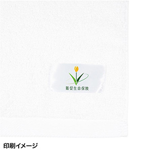 今治フェイスタオル34×80cm(1個503.8円)