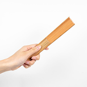 涼風和扇子(浅葱)(1個198円)