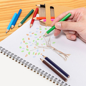 クラフト12色いろえんぴつ(1個88円)